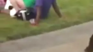 As gatas incríveis A ...