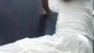 Gata lasciva tem seu ...