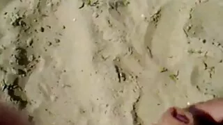 Trany loirinha vídeo ...