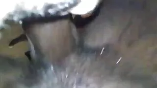 A morena Katrina Isi ...