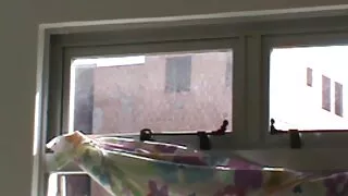 Garota amadora imund ...