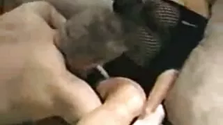Amante de BDSM Hazel ...